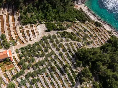Ferienhaus für 9 Personen in Vela Luka 1/10