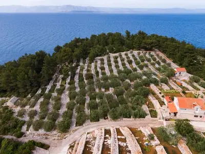 Ferienhaus für 9 Personen in Vela Luka 3/10