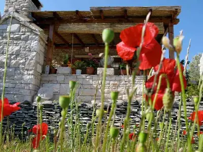 Ferienhaus für 3 Personen (50 m²) in Vela Luka 5/10