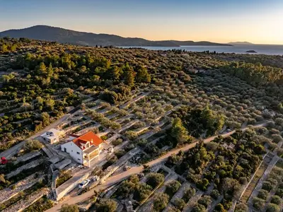 Ferienhaus für 10 Personen in Vela Luka 4/10