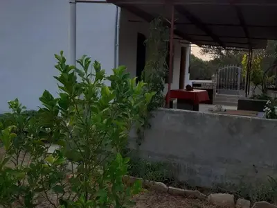 Ferienhaus für 2 Personen in Vela Luka 2/10