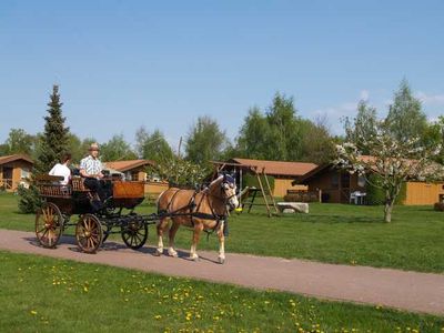 Ferienhaus für 5 Personen (60 m²) in Vellahn 7/10