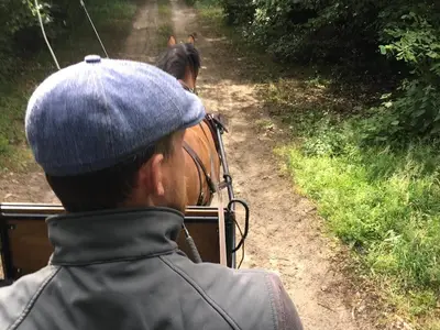 Ferienhaus für 5 Personen (60 m²) in Vellahn 5/10