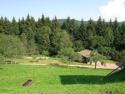 GardenSummer