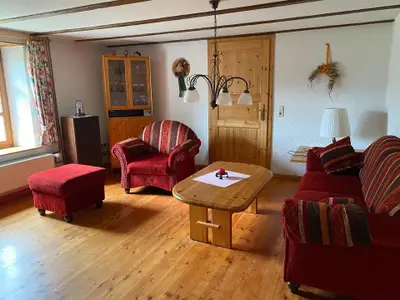 Gemütliches Wohnzimmer mit Schwedenofen