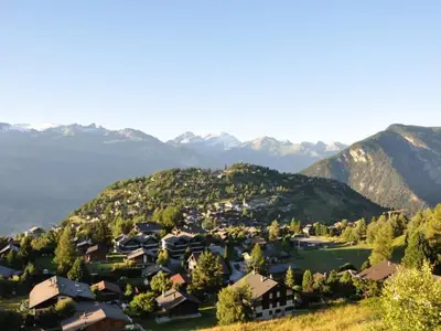 Sommer - Blick von Terrasse/Balkon