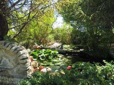 GardenSummer