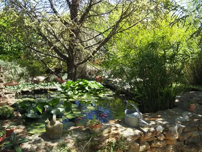 GardenSummer