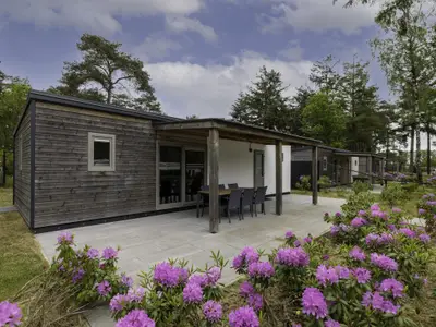 Außenseite Ferienhaus [Sommer]