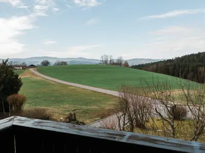Aussicht vom Ferienhaus [Sommer]