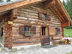 Ferienhaus für 14 Personen (120 m²) in Viehhofen