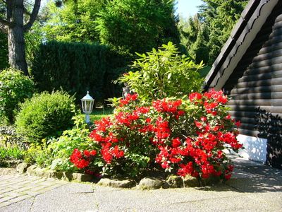 Ferienhaus für 5 Personen (80 m²) in Vielbrunn 9/10