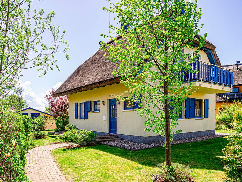 23954911-Ferienhaus-4-Vieregge-800x600-0