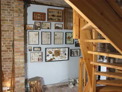 Ferienhaus für 6 Personen (100 m²) in Vierlinden 6/10