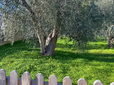 outside