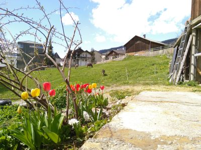 Ferienhaus Stoffel - Blumen