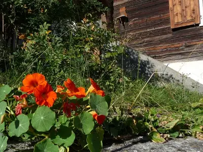 Ferienhaus für 4 Personen in Vignogn 6/10