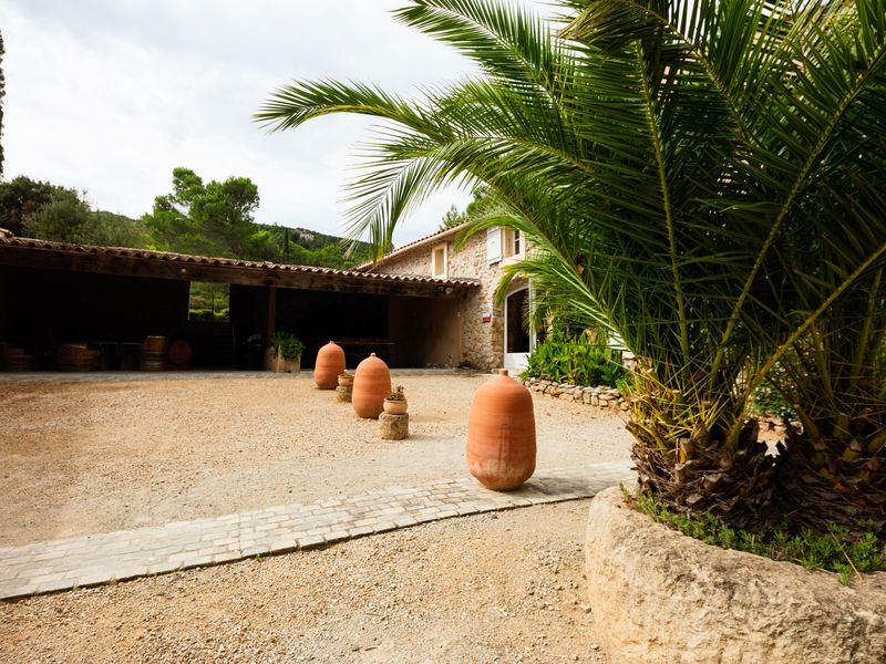 23509999-Ferienhaus-13-Villesèque des Corbières-800x600-1