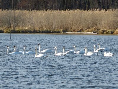 optimale Gegend für ausgeschilderte Wanderwege