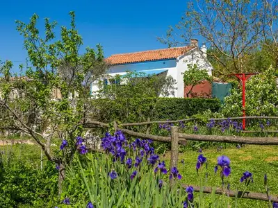 Ferienhaus für 4 Personen in Vinez 6/10