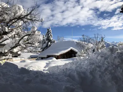 Schlossnerhof Virgen Lienz Langlaufen Osttirol