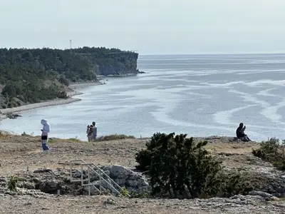 Bild 5