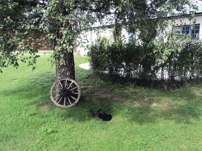 outside