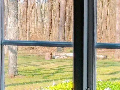 view-from-room