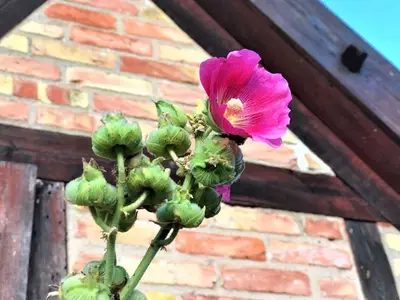 Ferienhaus für 6 Personen (200 m²) in Vogelsang-Warsin 4/10