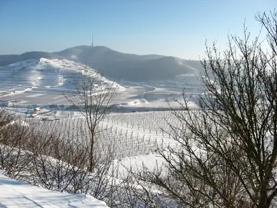 Wandern im Kaiserstuhl im Winter: Bei klarer Sicht auf die Mondhalde