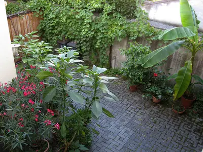 Rundgang Gästehaus /Vom Balkon aus blickt man in den Innenhof