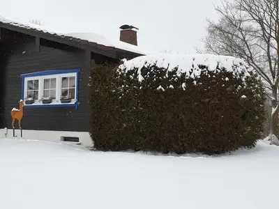 Ferienhaus für 14 Personen (112 m²) in Harbshausen 3/10