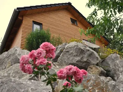 Ferienhaus für 3 Personen (35 m²) in Schmittlotheim 3/10