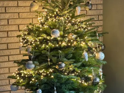 Ferienhaus für 14 Personen (112 m²) in Harbshausen 6/10