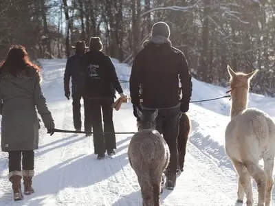 Ferienhaus für 14 Personen (112 m²) in Harbshausen 9/10