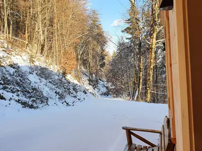 Blick zum Weg