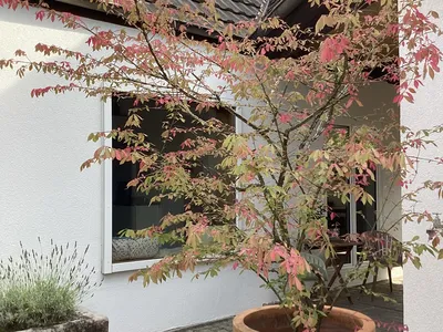 Ferienhaus für 4 Personen in Volkach 6/10