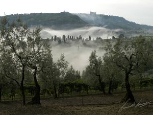 23840118-Ferienhaus-6-Volterra-300x225-5