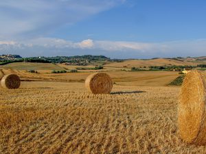 23747474-Ferienhaus-6-Volterra-300x225-4