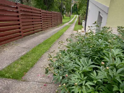 Ferienhaus für 6 Personen (80 m²) in Vonyarcvashegy 9/10