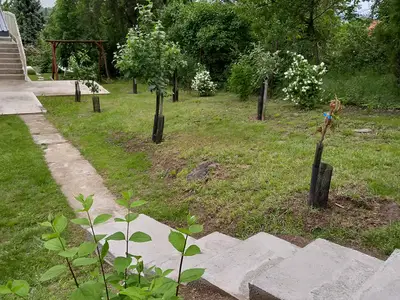 Ferienhaus für 6 Personen (80 m²) in Vonyarcvashegy 10/10