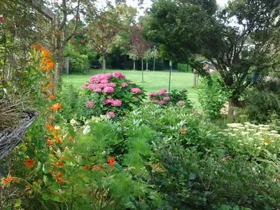 ViewSummer