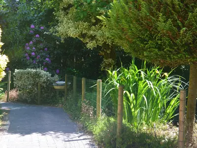 GardenSummer