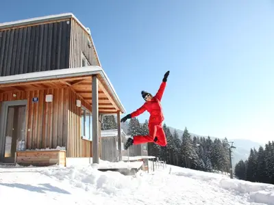 Ferienhaus für 7 Personen (64 m²) in Vordernberg 6/10