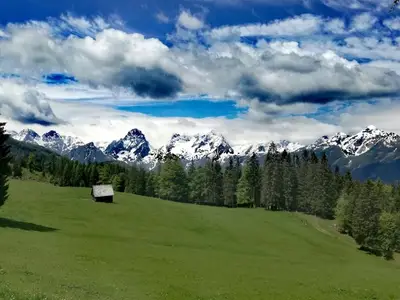 Ferienhaus für 4 Personen in Vorderstoder 1/10