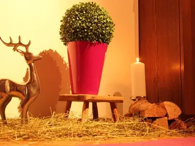 Ferienhaus für 4 Personen in Vorderstoder 10/10