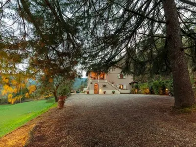 Bild 9
