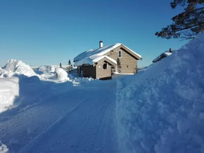 Ferienhaus für 6 Personen (72 m²) in Vrådal 2/10