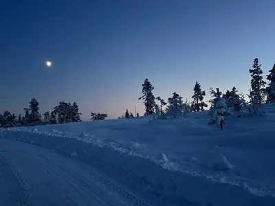 Ferienhaus für 6 Personen (72 m²) in Vrådal 4/10