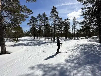 Ferienhaus für 6 Personen (72 m²) in Vrådal 5/10